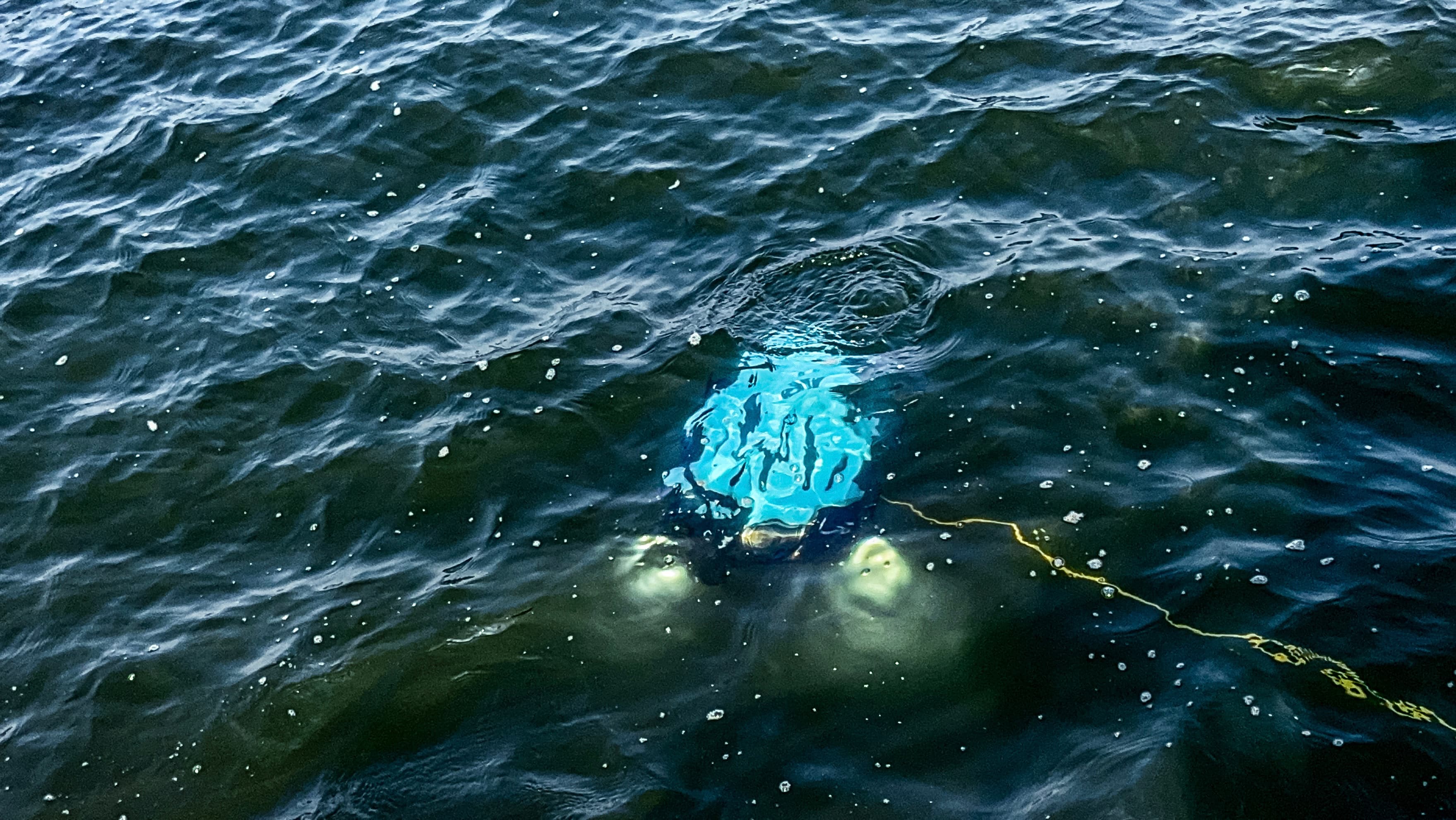 Dubotech autonomous maritime platform operating at sea